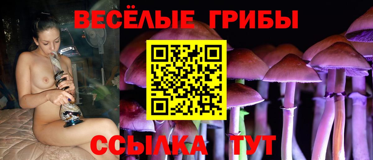 Псилоцибиновые грибы MAGIC MUSHROOMS  Вход с VPN  Коркино 